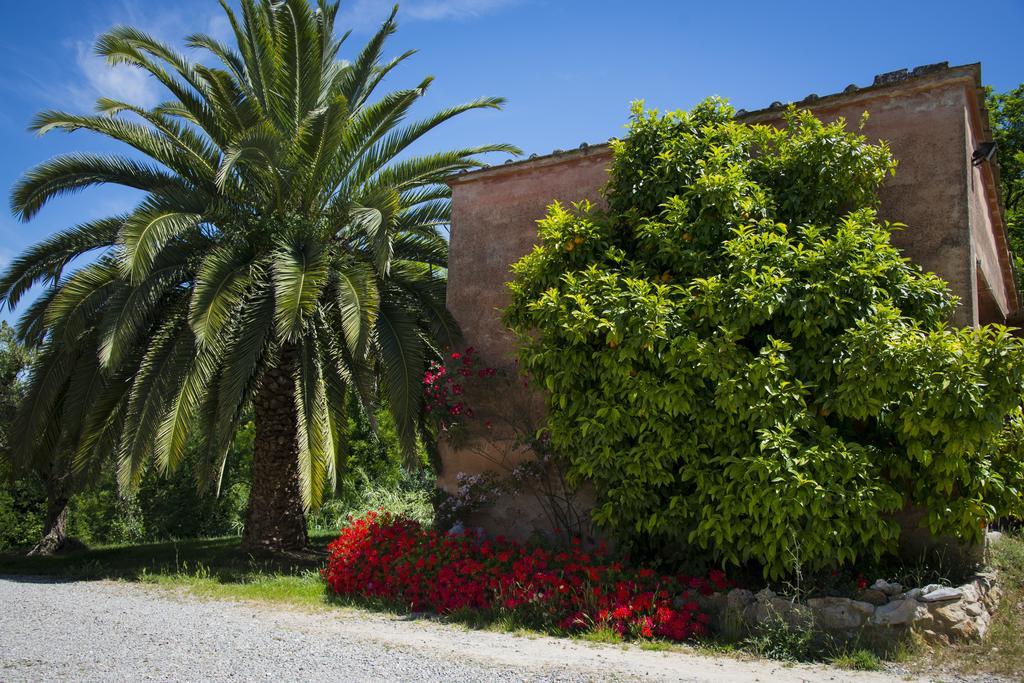 Agriturismo L'Isola Crespina 客房 照片
