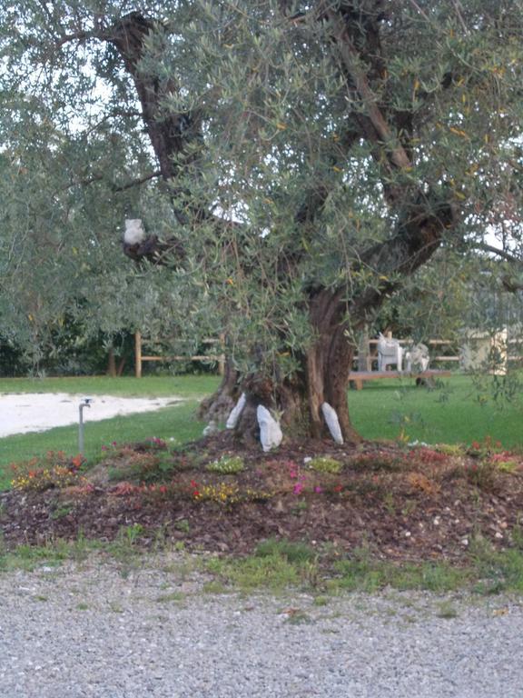 Agriturismo L'Isola Crespina 客房 照片