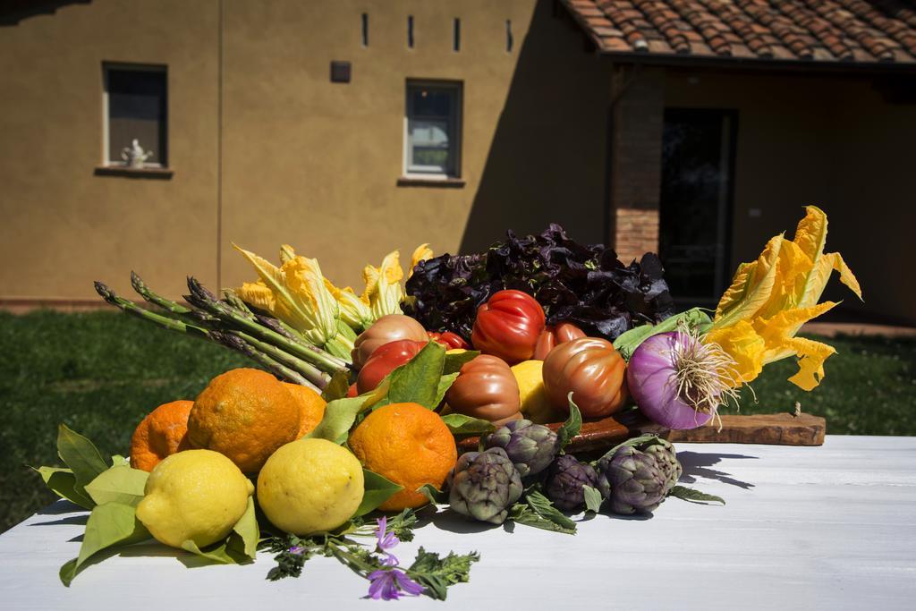Agriturismo L'Isola Crespina 外观 照片