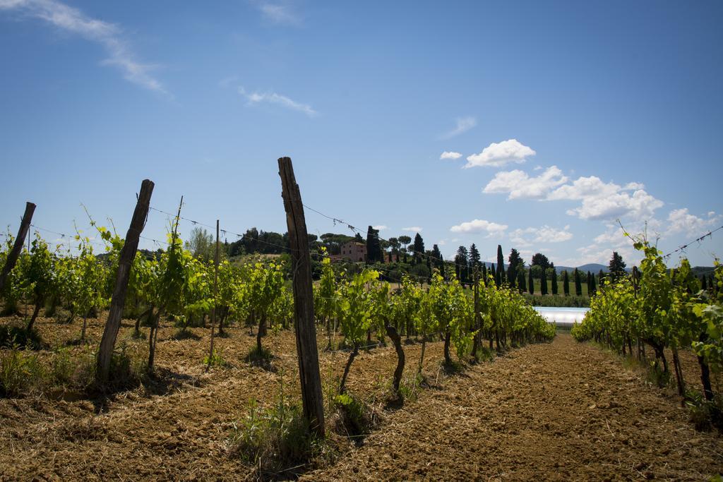 Agriturismo L'Isola Crespina 外观 照片