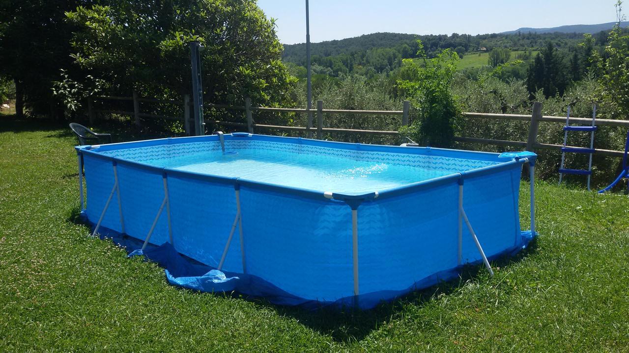 Agriturismo L'Isola Crespina 外观 照片