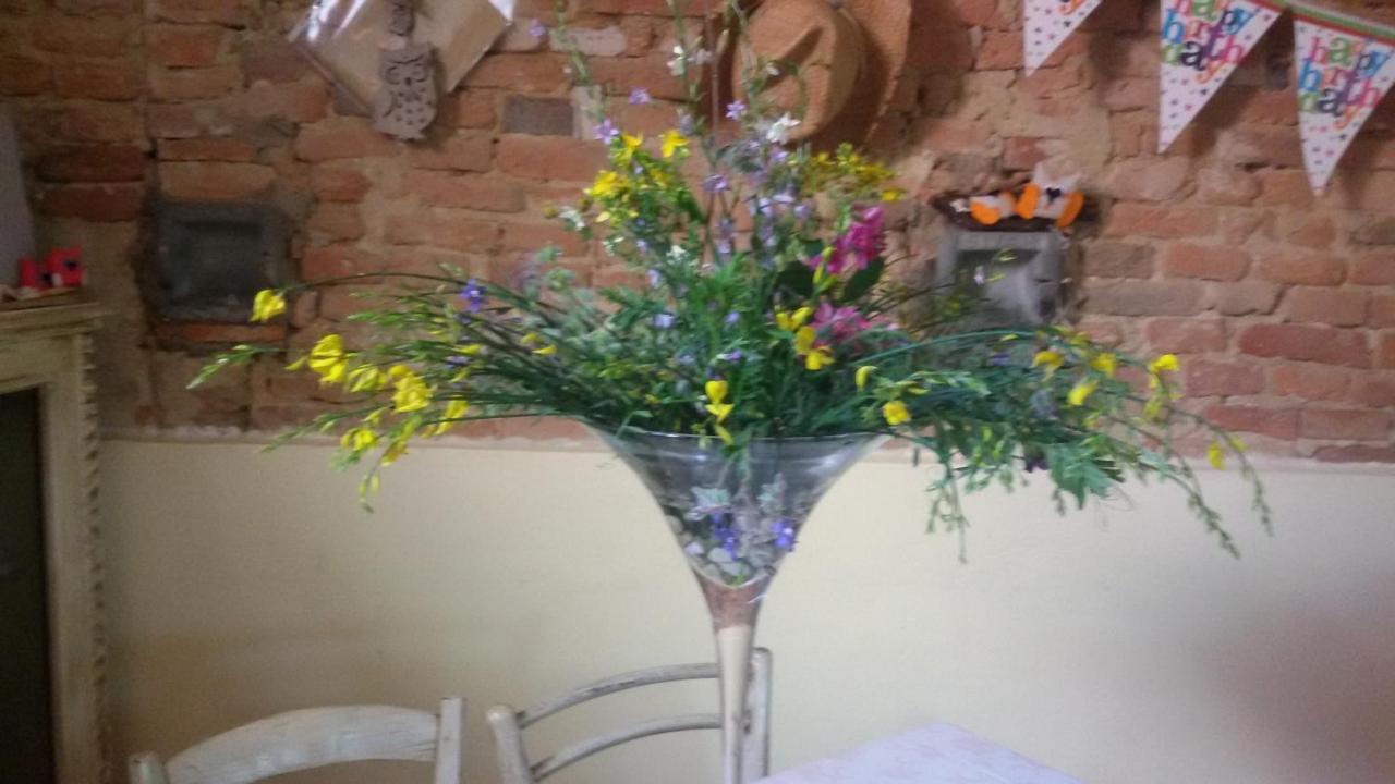 Agriturismo L'Isola Crespina 外观 照片