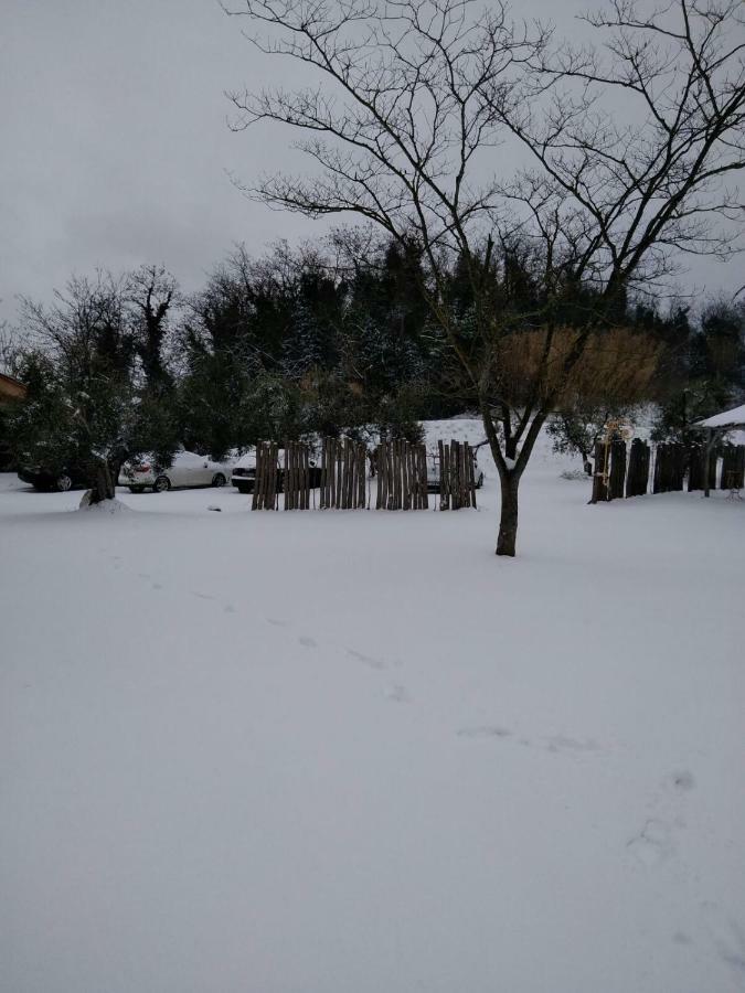 Agriturismo L'Isola Crespina 外观 照片